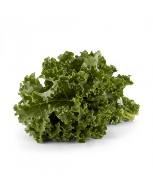 Green Kale Organic