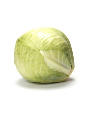 Cabbage ORGANIC